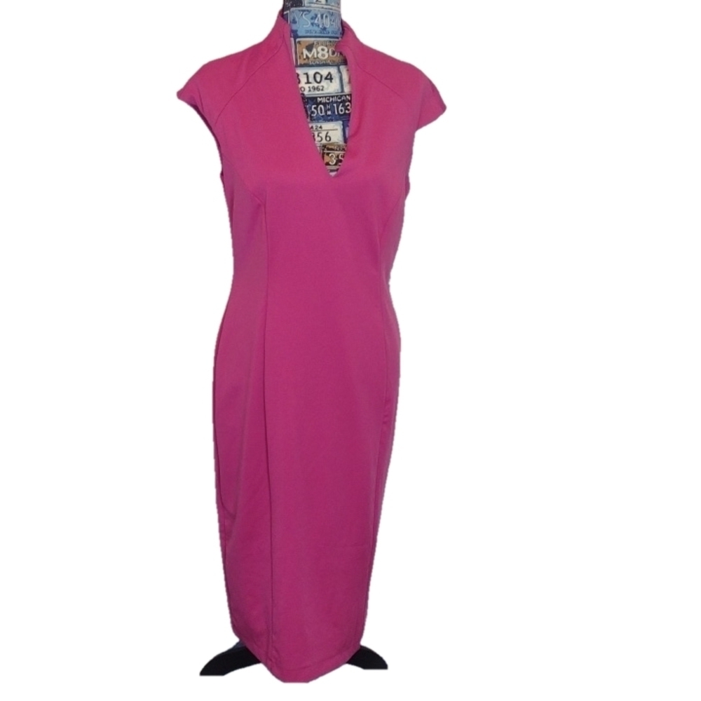 Alexia admor berry dress size large